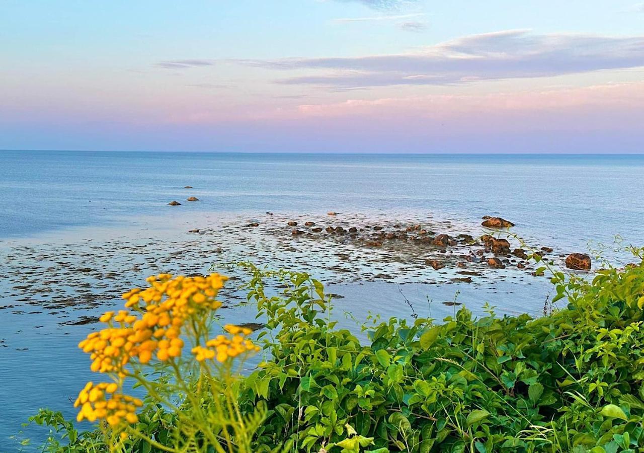 Wildflower Inn Плимут Экстерьер фото