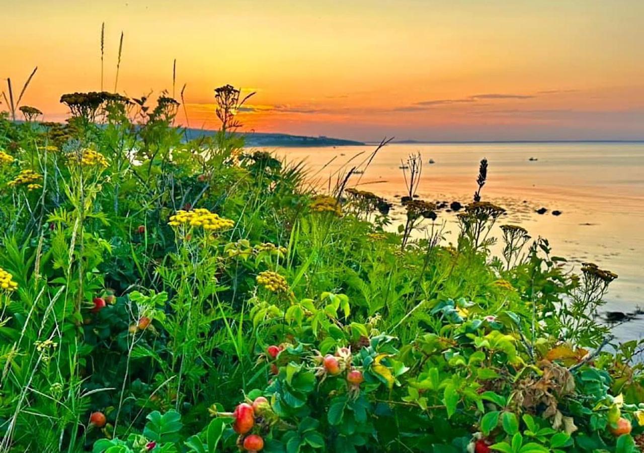 Wildflower Inn Плимут Экстерьер фото